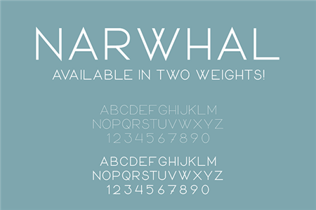 narwhal