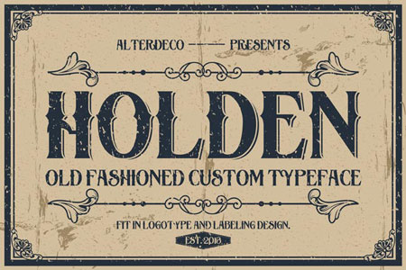 HoldenType-1